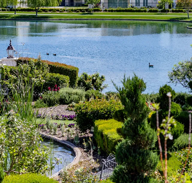 Lush garden beside a calm lake with flowering shrubs, rocks, and distant ducks on the water