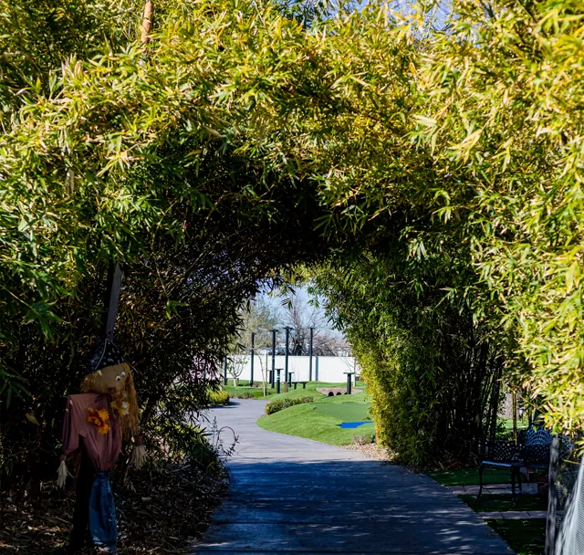 Leafy tunnel arching over a path, opening to a sunny park with grass and trees.